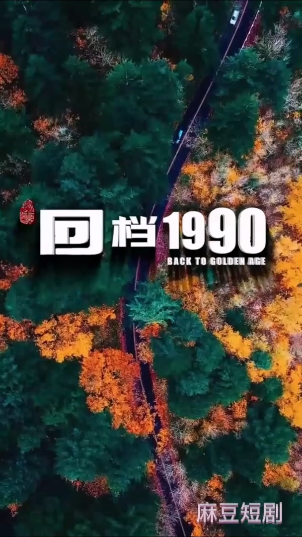 回档1990合集版海报