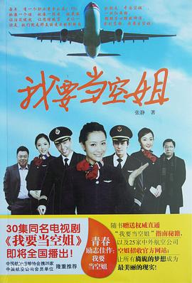 我要当空姐海报