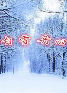 白雪丹心海报